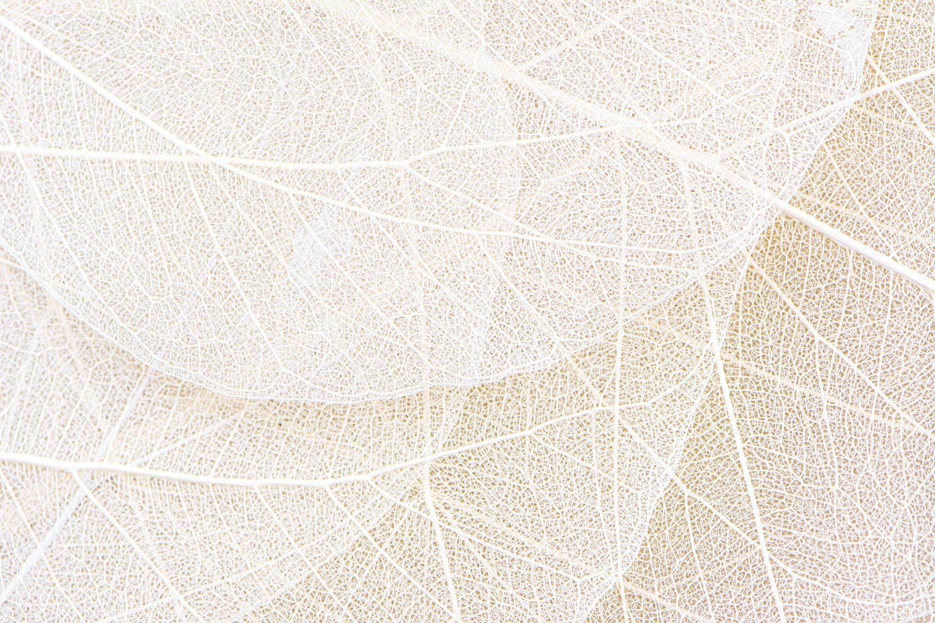 Family sat in kitchen talking